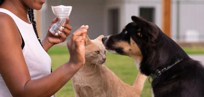 Paw-Fect Packaging that Drives Value With Pet Owners
